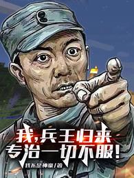 兵王回归 小说